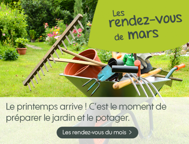 Peinture maison point vert