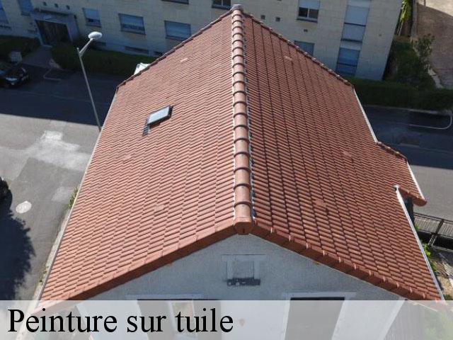 Travaux peinture maisons laffitte