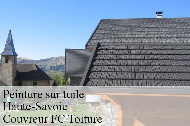 Travaux peinture haute savoie