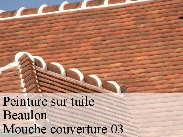 Devis peinture tuile