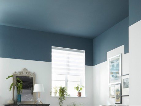 Prix peinture faux plafond