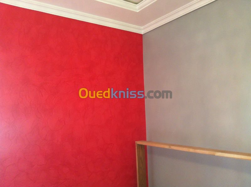 Travaux peinture algerie