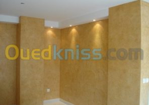 Peintre maison ouedkniss