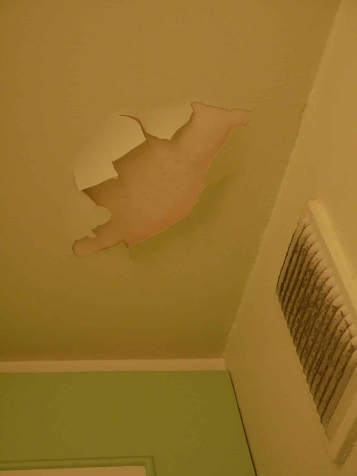 Peinture acrylique qualité