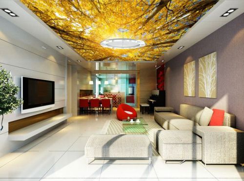 Prix peinture plafond tendu