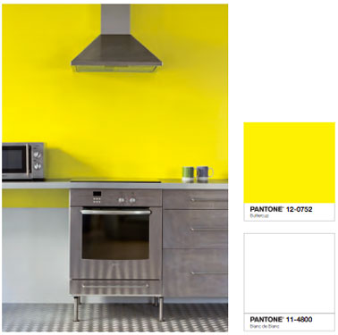 Couleur peinture cuisine inox
