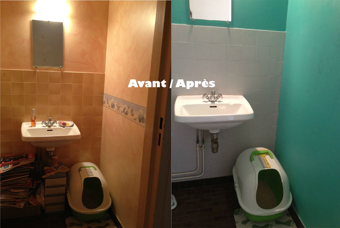 Peinture carrelage sol wc