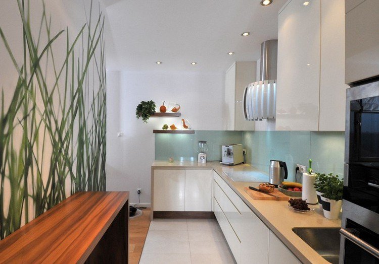 Cuisine peinture ou papier peint