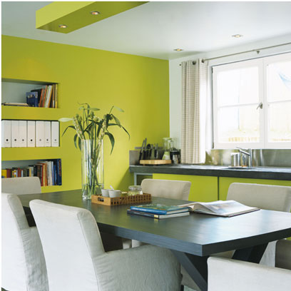 Peinture cuisine verte et grise