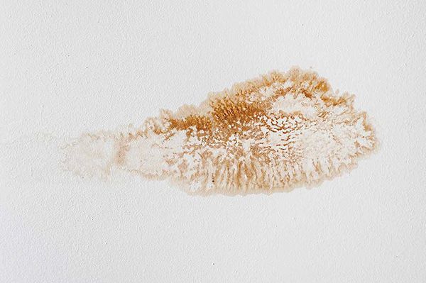 Peinture acrylique tache mur