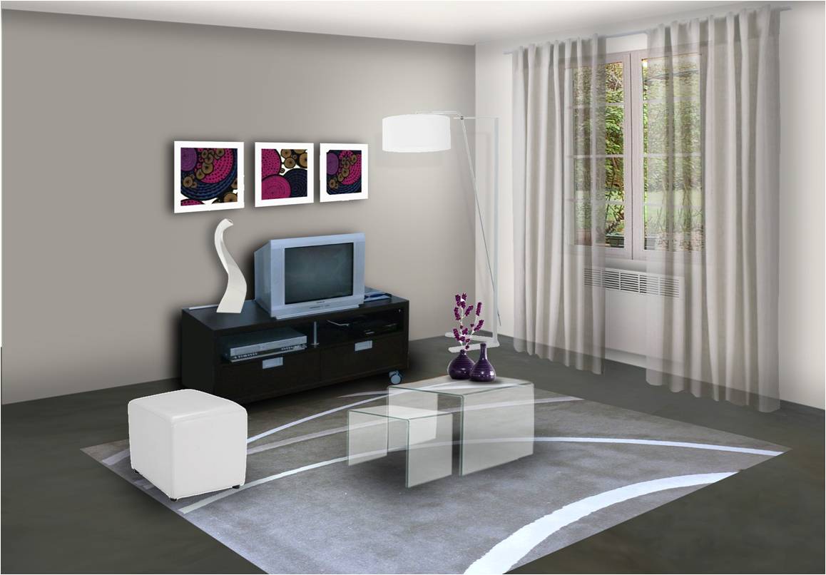 Décoration peinture living