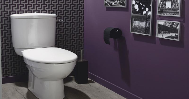 Peinture décoration toilettes
