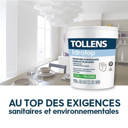 Devis peinture tollens