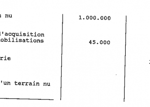 Travaux peinture immobilisation