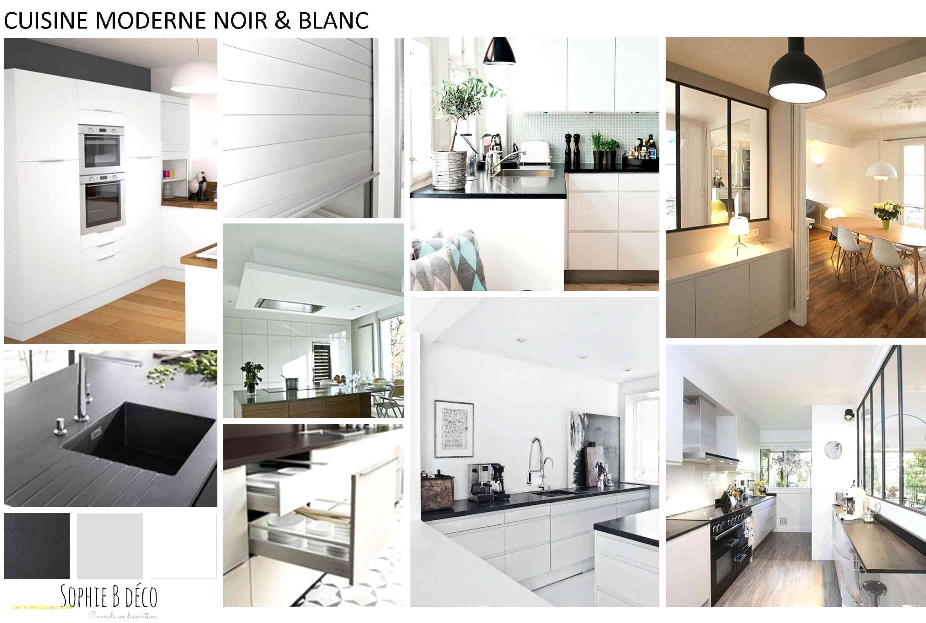 Deco peinture jungle