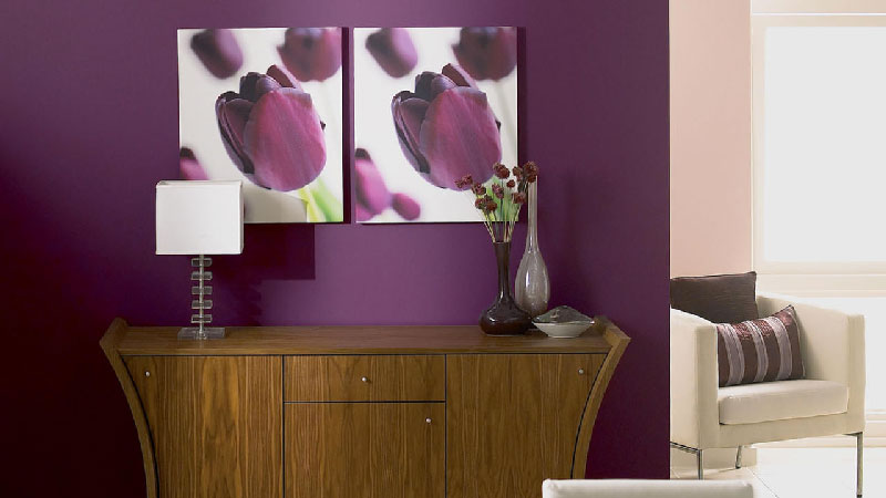 Peinture aubergine pour cuisine
