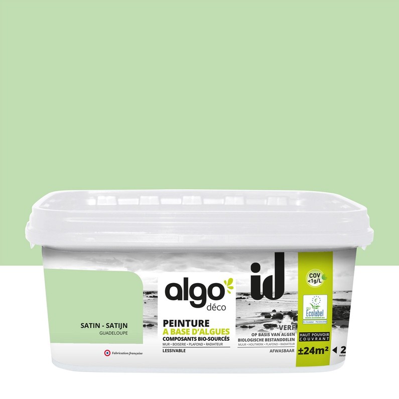Peinture algo deco