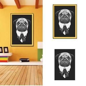 Peinture naturelle décoration