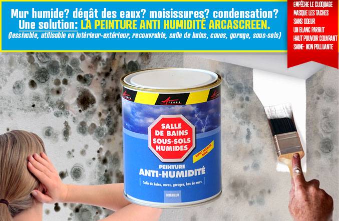 Peinture acrylique sur mur humide
